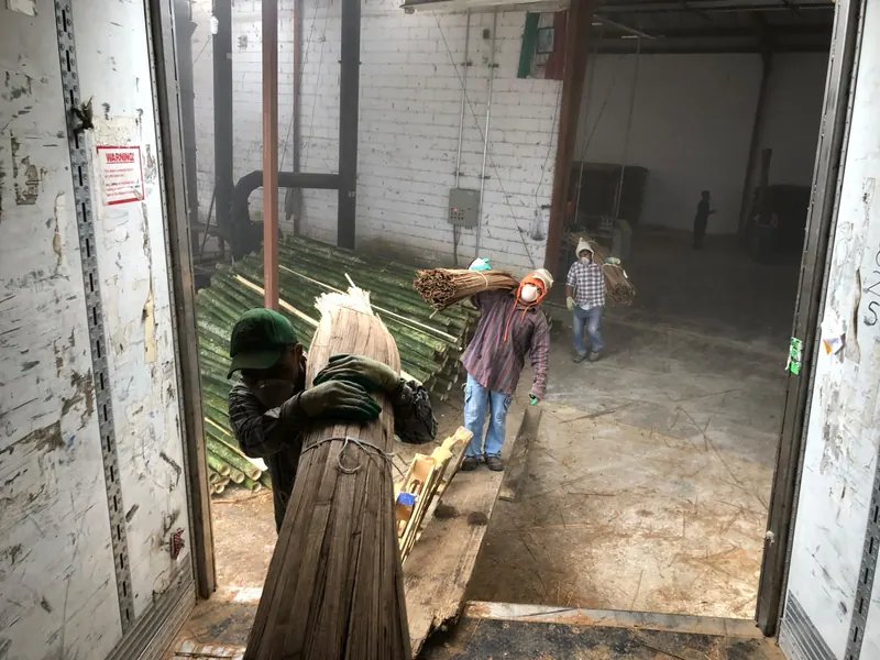 Bundles of bamboo stakes being loaded onto a truck
